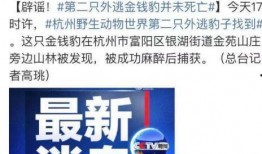 潍坊爆料加班事件最新,揭秘企业加班真相，劳动者权益再引关注