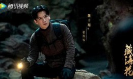 藏海花最新爆料,揭秘神秘古墓，探寻千年宝藏之谜