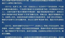 衡水桃中最新爆料,揭秘校园风云背后的真相